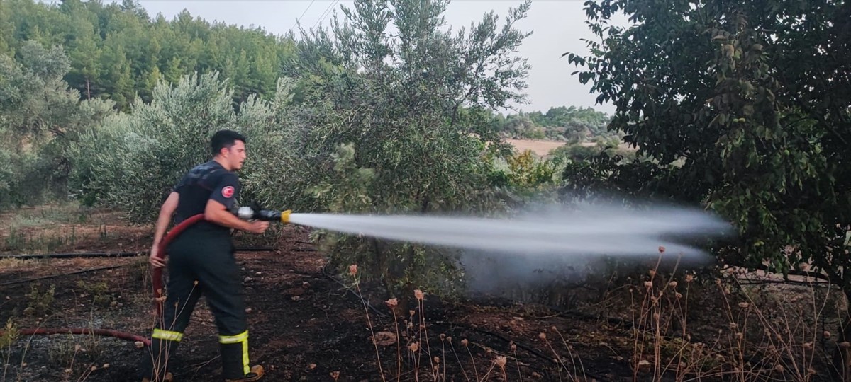 Antalya'nın Serik ilçesinde ormanlık alanda çıkan yangına havadan ve karadan müdahale edildi.