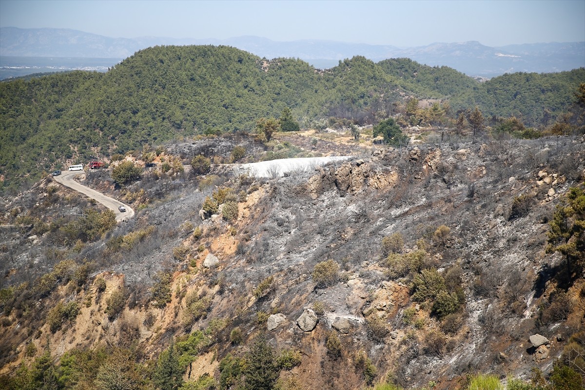 Antalya'nın Serik ilçesinde ormanlık alanda dün çıkan orman yangınını kontrol altına almak için...