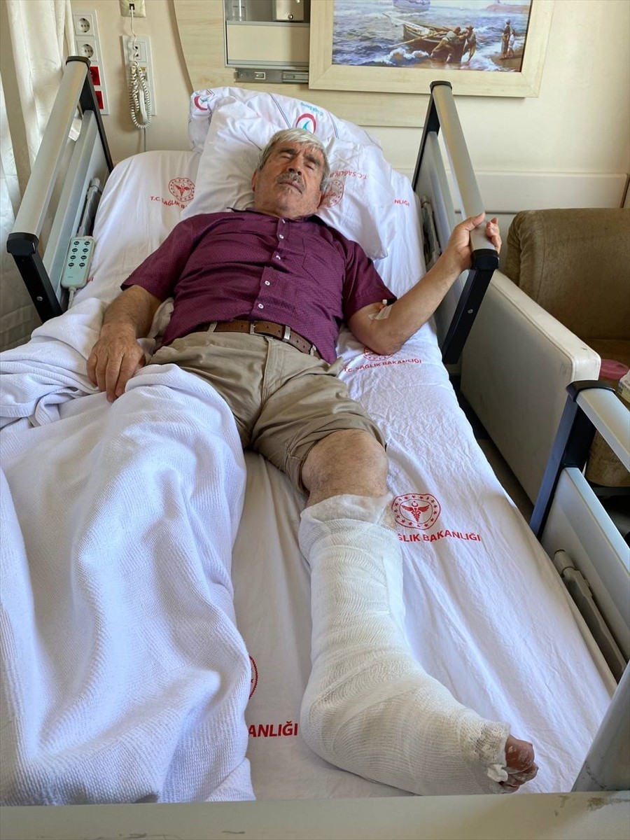 Antalya'nın Serik ilçesinde sahipsiz köpeğin saldırması sonucu 3 tekerlekli elektrikli...