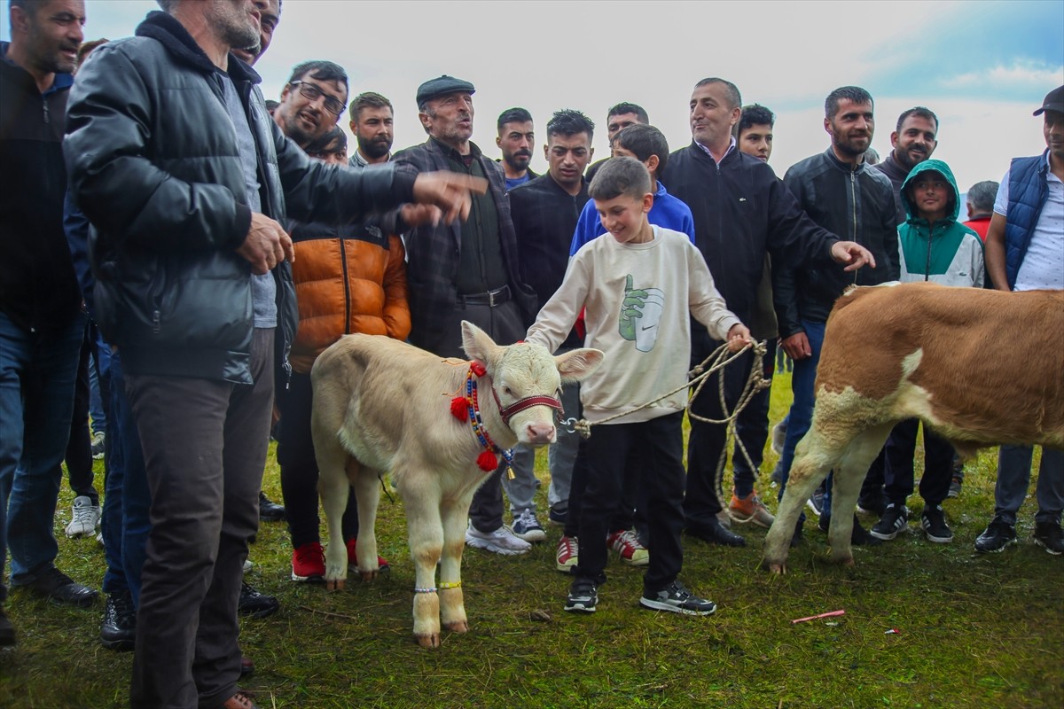 Ardahan'ın Göle ilçesinde üretilen kaşar peynirinin tanınırlığının artırılması amacıyla düzenlenen...