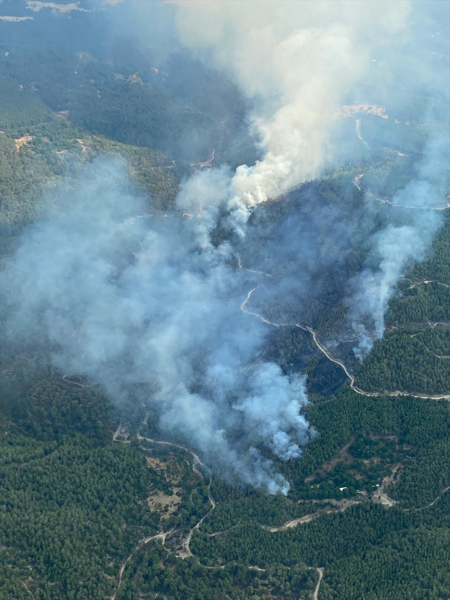  Aydın'ın Çine ilçesinde çıkan orman yangını, havadan ve karadan müdahaleyle kontrol altına...