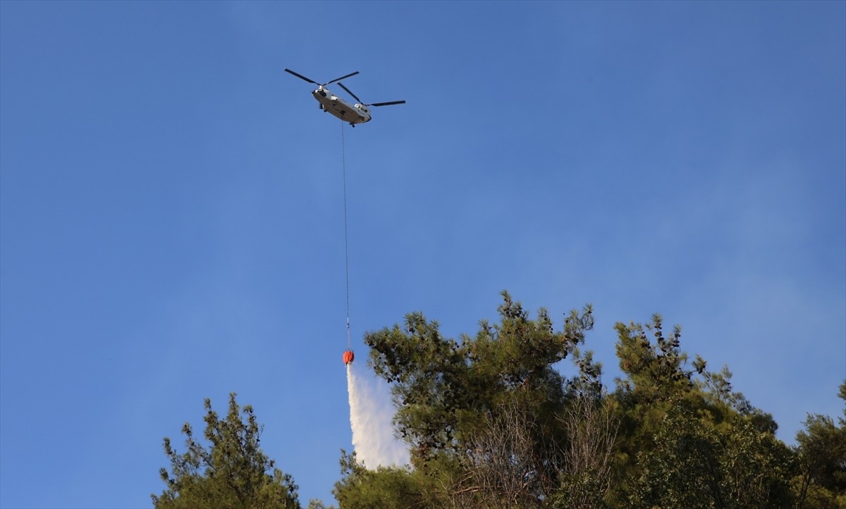 Aydın'ın Efeler ilçesinde, ormanlık ve zeytinlik alanda çıkan ve kontrol altına alınan yangın...