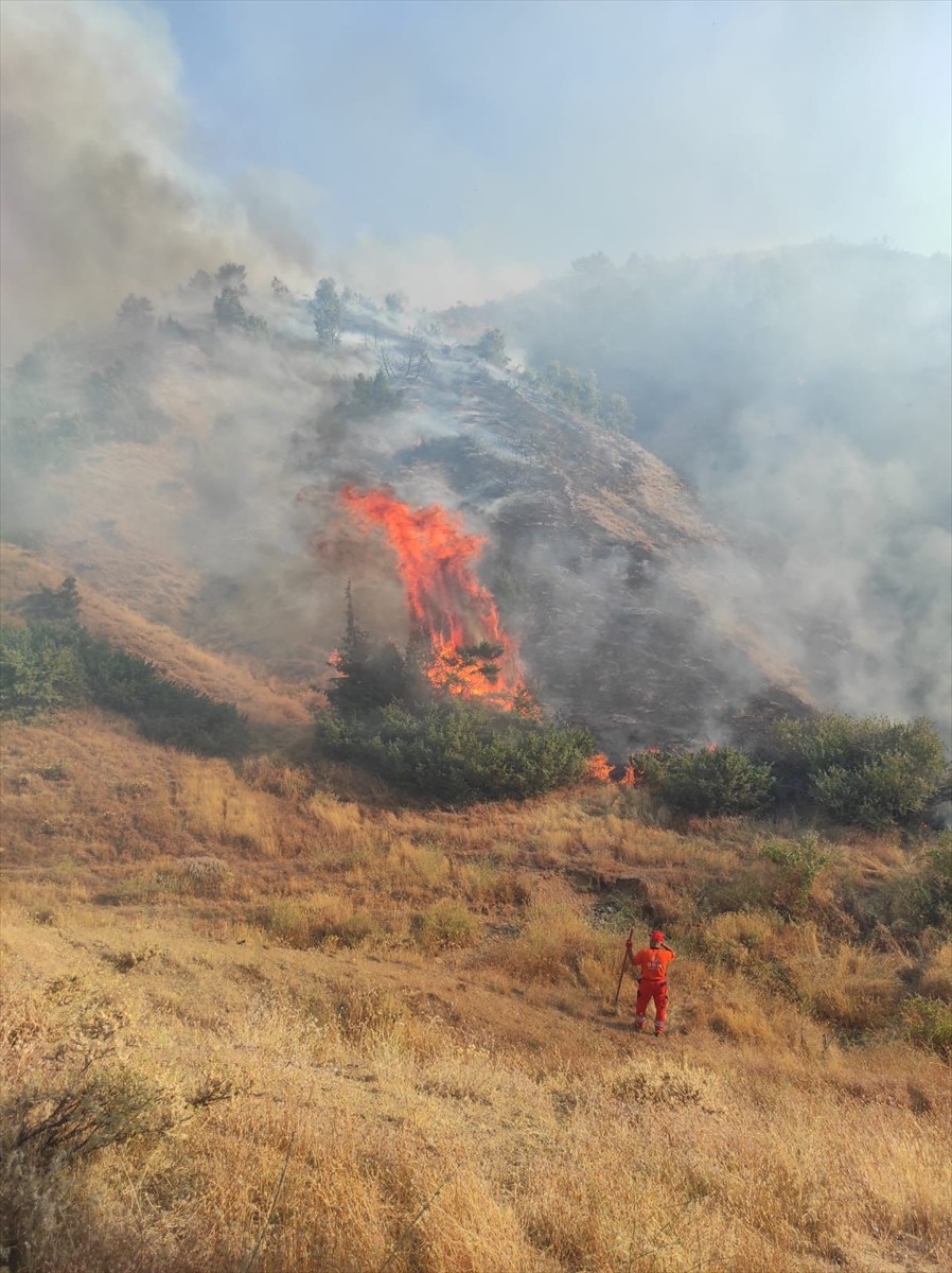  Bingöl'ün Genç ilçesinde çıkan orman yangını söndürüldü.