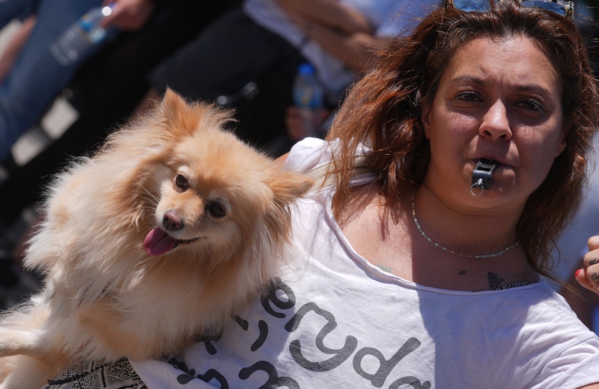 Bir grup hayvansever, sahipsiz hayvanlara yönelik "Hayvanları Koruma Kanununda Değişiklik...