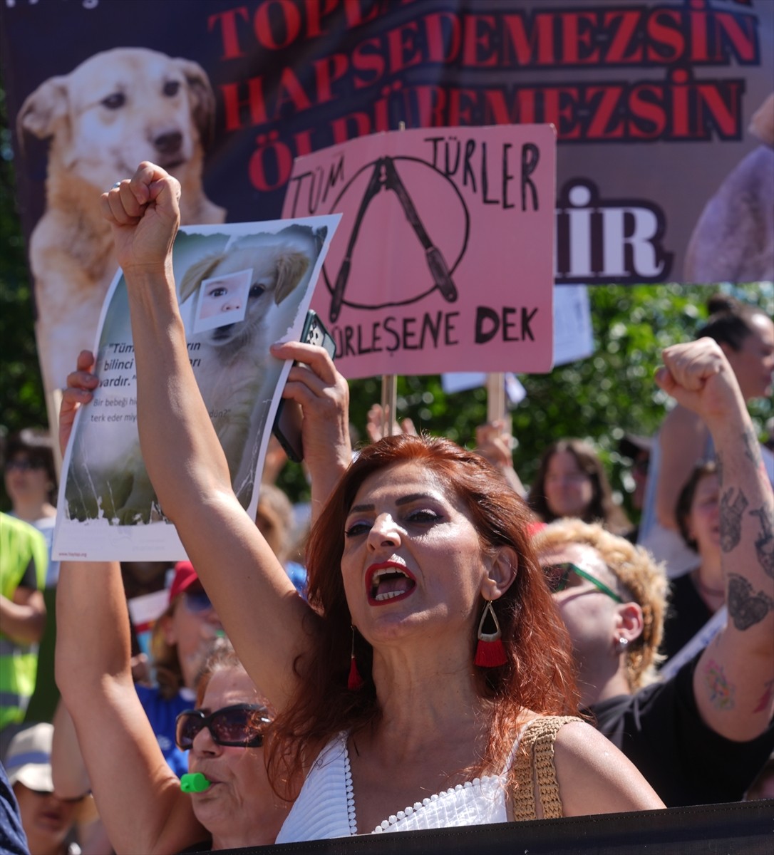 Bir grup hayvansever, sahipsiz hayvanlara yönelik "Hayvanları Koruma Kanununda Değişiklik...