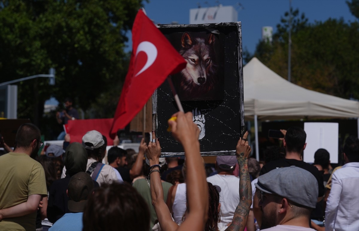 Bir grup hayvansever, sahipsiz hayvanlara yönelik "Hayvanları Koruma Kanununda Değişiklik...