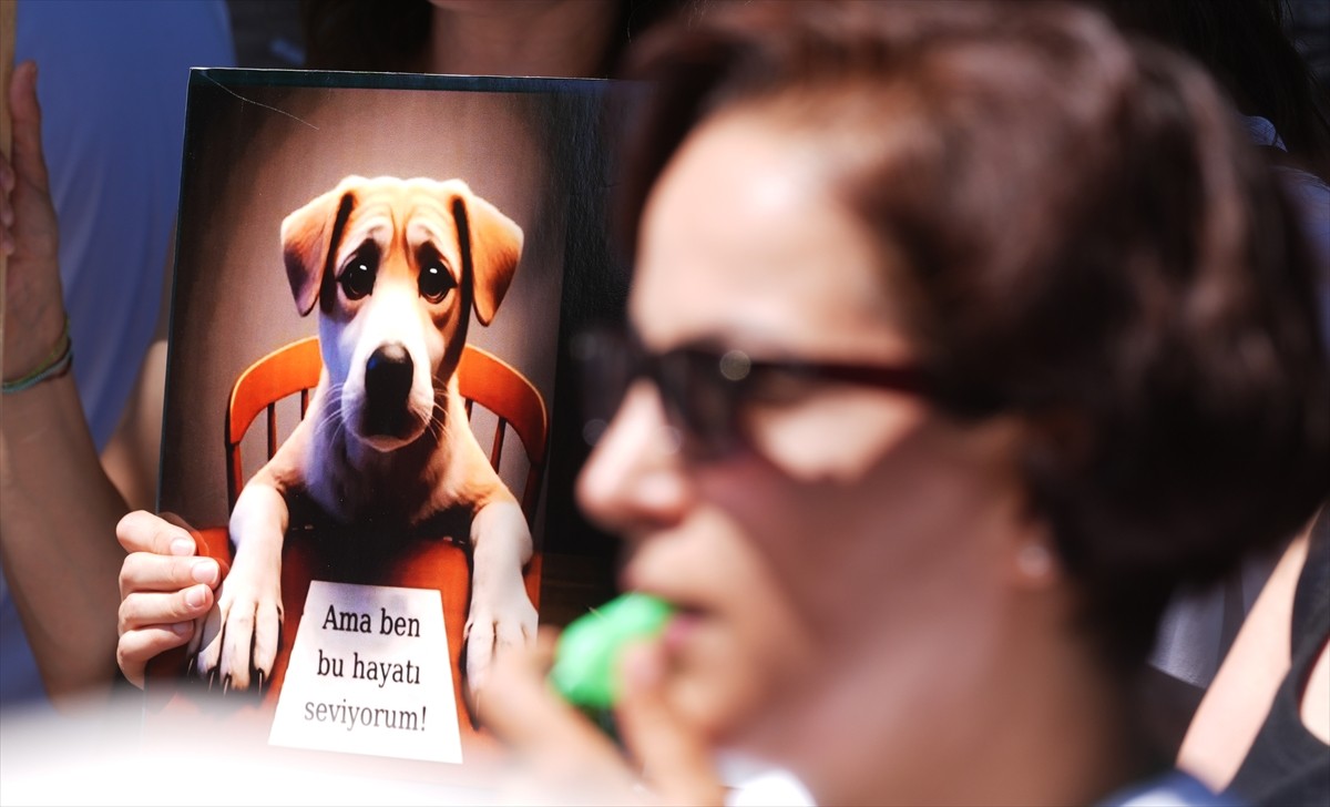 Bir grup hayvansever, sahipsiz hayvanlara yönelik "Hayvanları Koruma Kanununda Değişiklik...