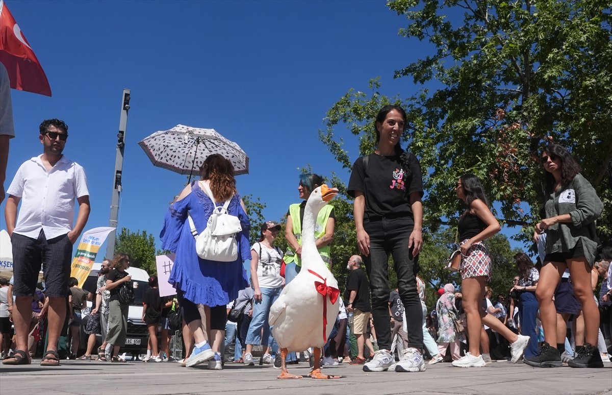 Bir grup hayvansever, sahipsiz hayvanlara yönelik "Hayvanları Koruma Kanununda Değişiklik...