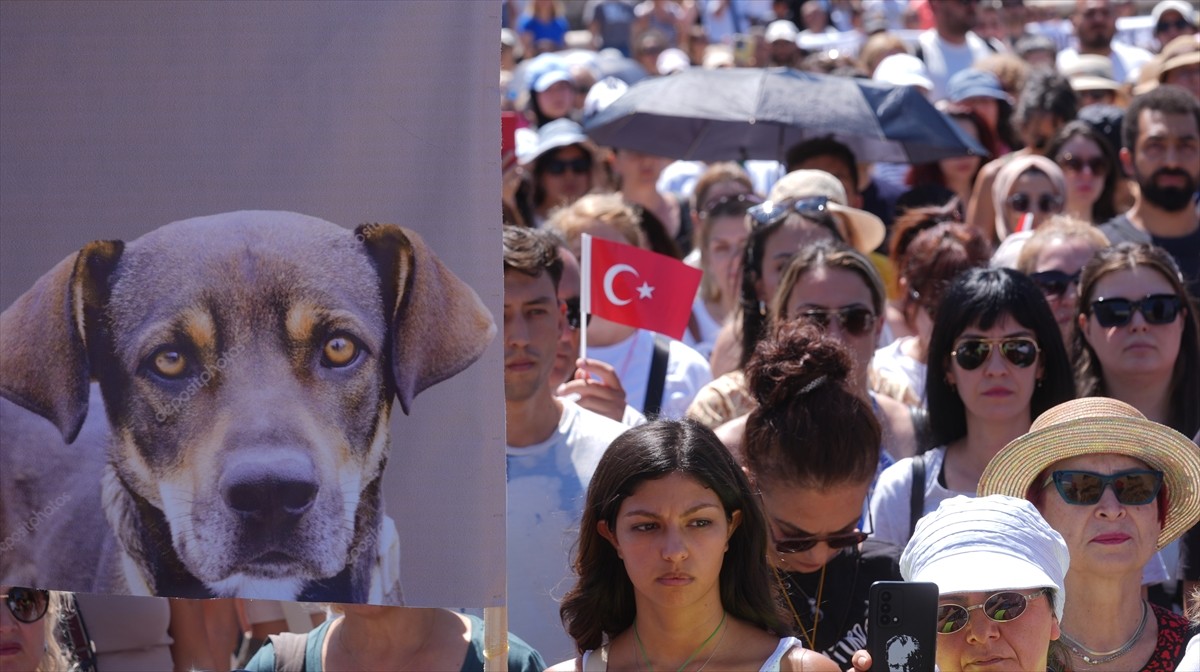 Bir grup hayvansever, sahipsiz hayvanlara yönelik "Hayvanları Koruma Kanununda Değişiklik...