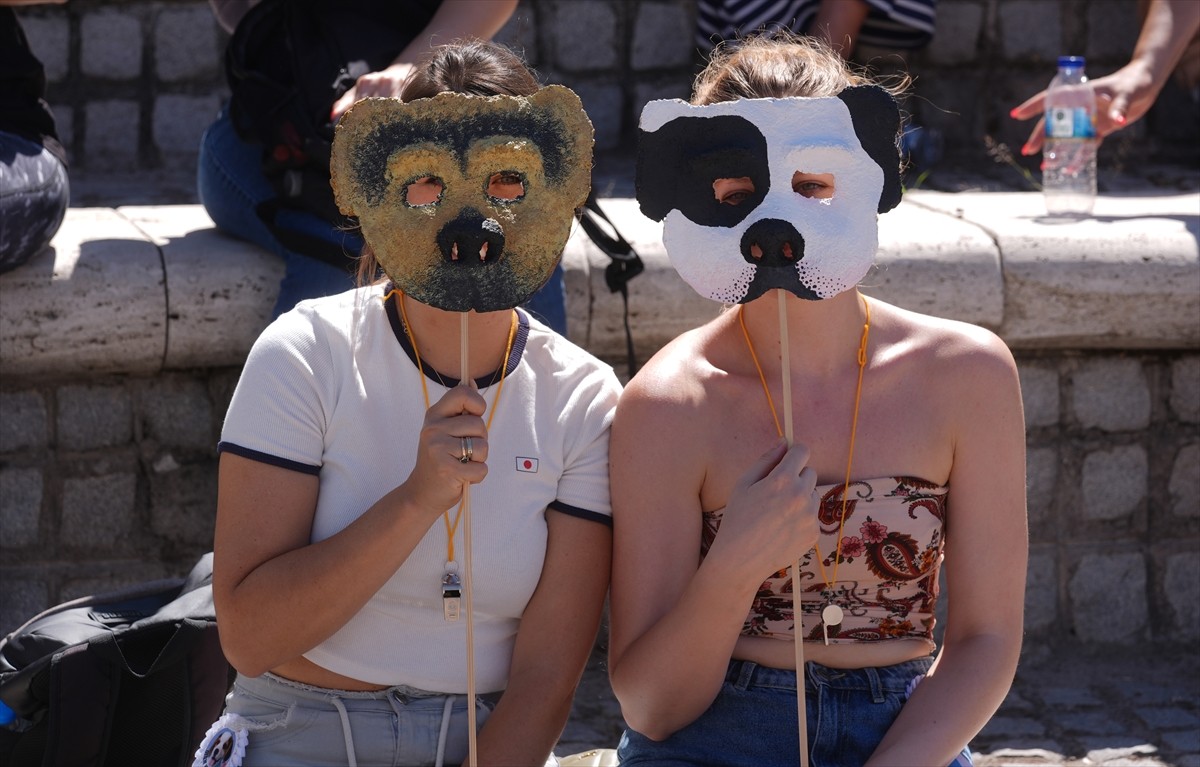 Bir grup hayvansever, sahipsiz hayvanlara yönelik "Hayvanları Koruma Kanununda Değişiklik...