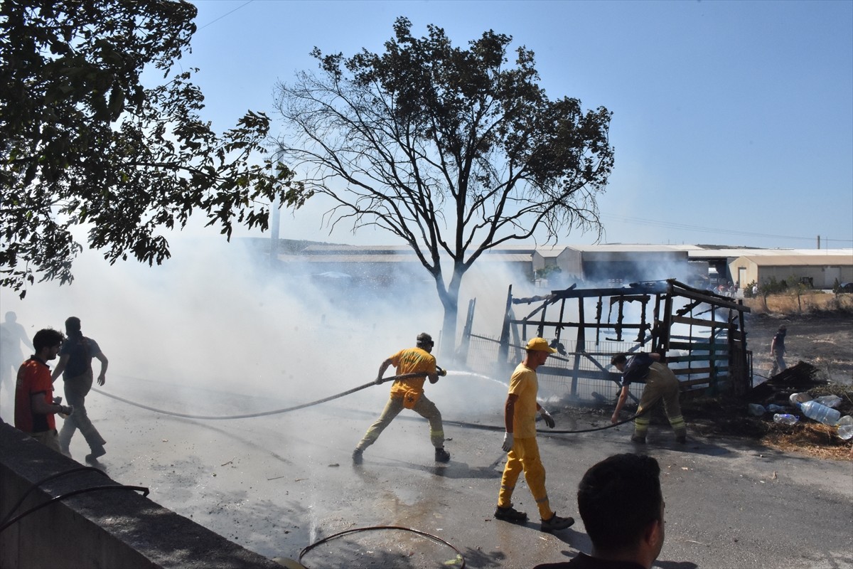 Bursa'nın Nilüfer ilçesinde yerleşim alanını tehdit eden anız yangını, ekiplerce kontrol altına...