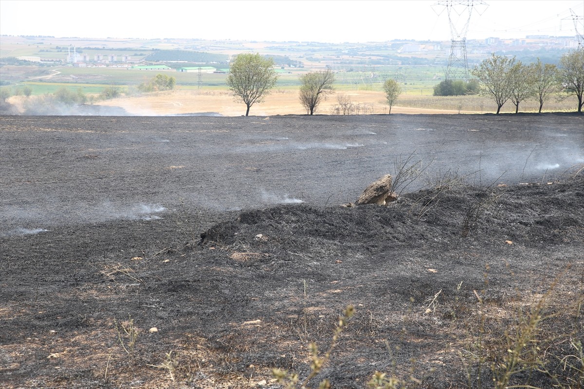 Edirne'de hasat edilmiş buğday tarlasında çıkan yangın, Orman İşletme Müdürlüğü ve itfaiye...