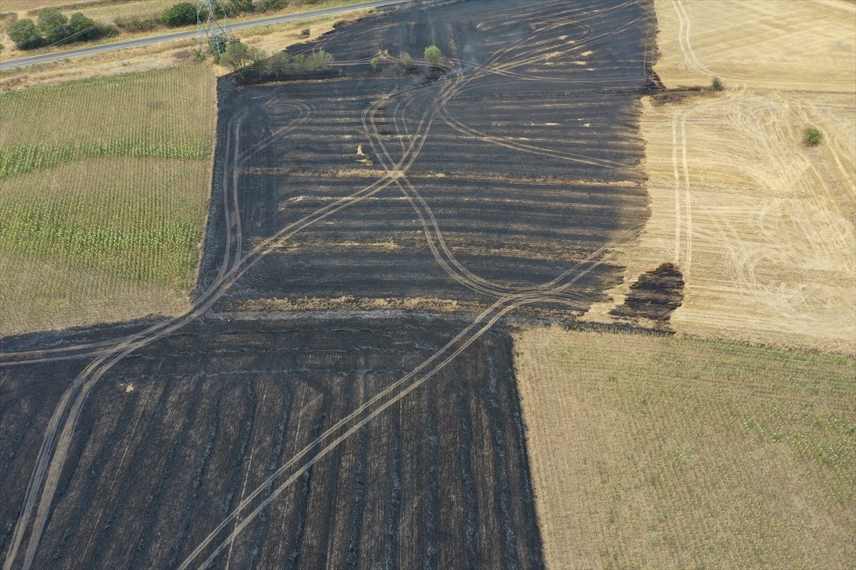Edirne'de hasat edilmiş buğday tarlasında çıkan yangın, Orman İşletme Müdürlüğü ve itfaiye...