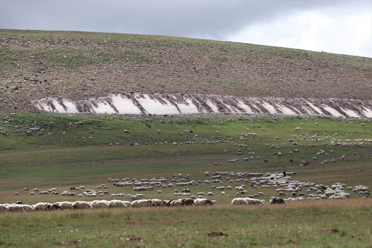 Erzurum'un 2 bin 600 rakımındaki Dumlubaba Yaylası'nda konaklayan göçerlerin günlük yaşamı zorlu...