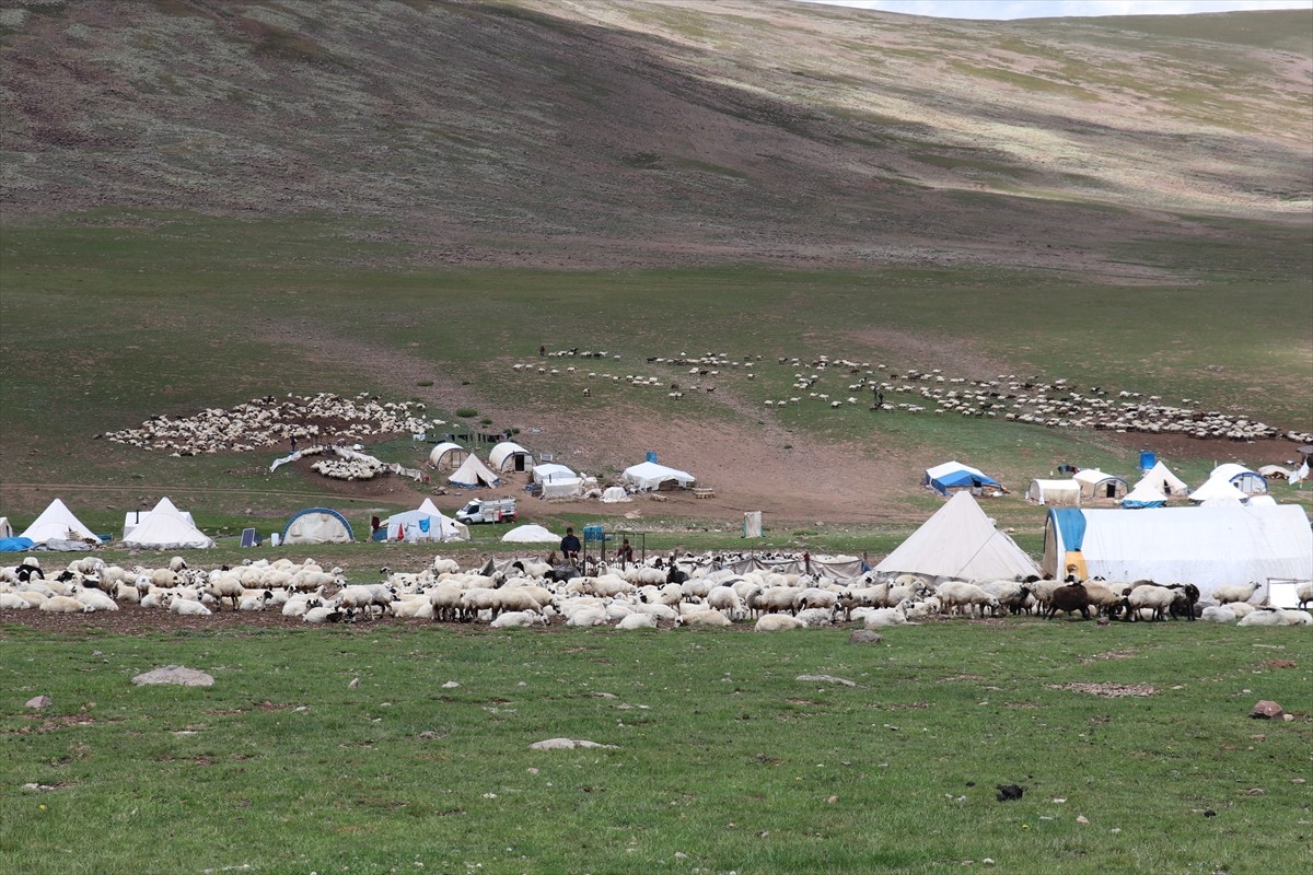 Erzurum'un 2 bin 600 rakımındaki Dumlubaba Yaylası'nda konaklayan göçerlerin günlük yaşamı zorlu...