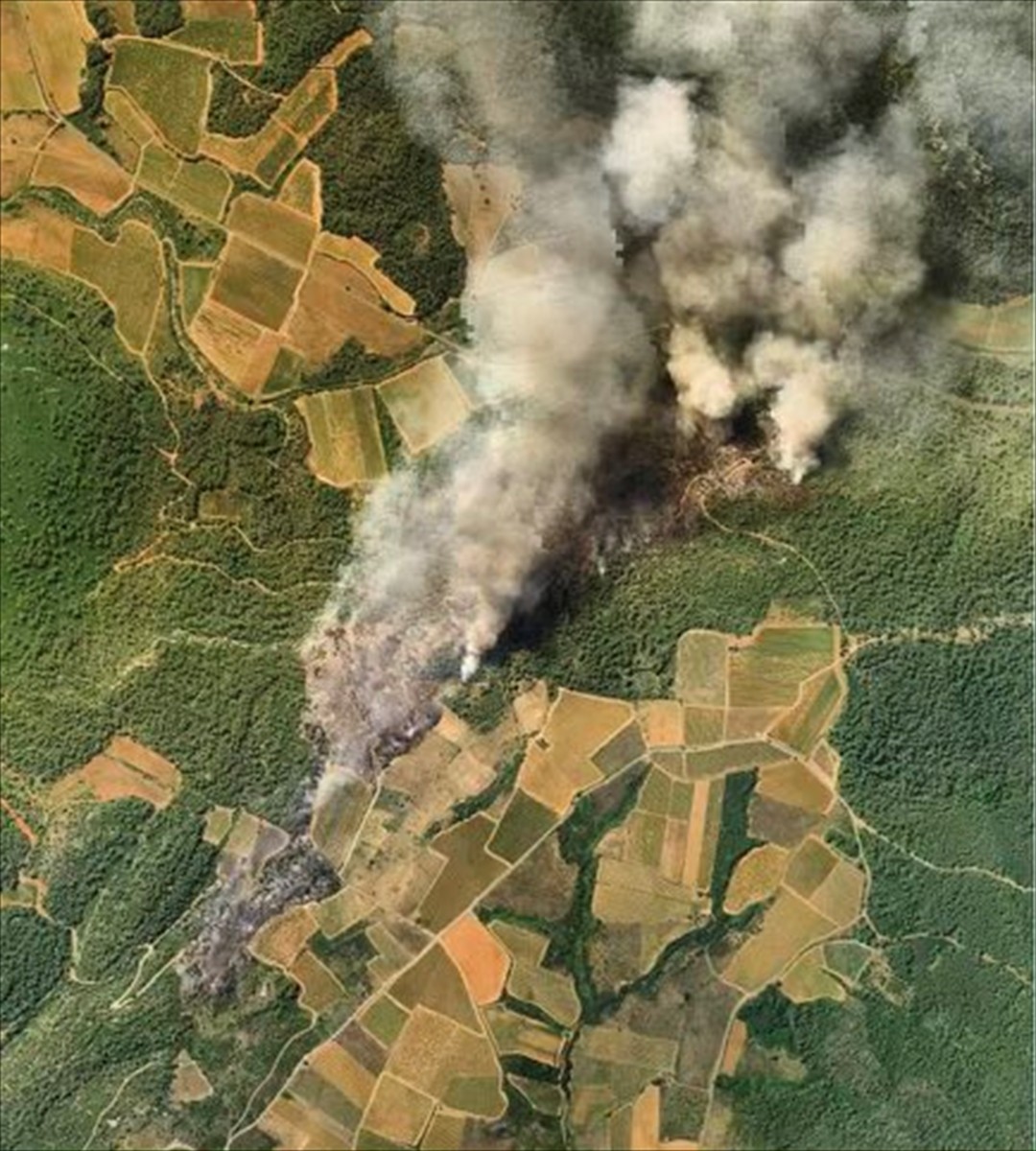 Fransa'nın güneyindeki Herault vilayetinde başlayan yangında 65 hektar ormanlık alanın kül olduğu...