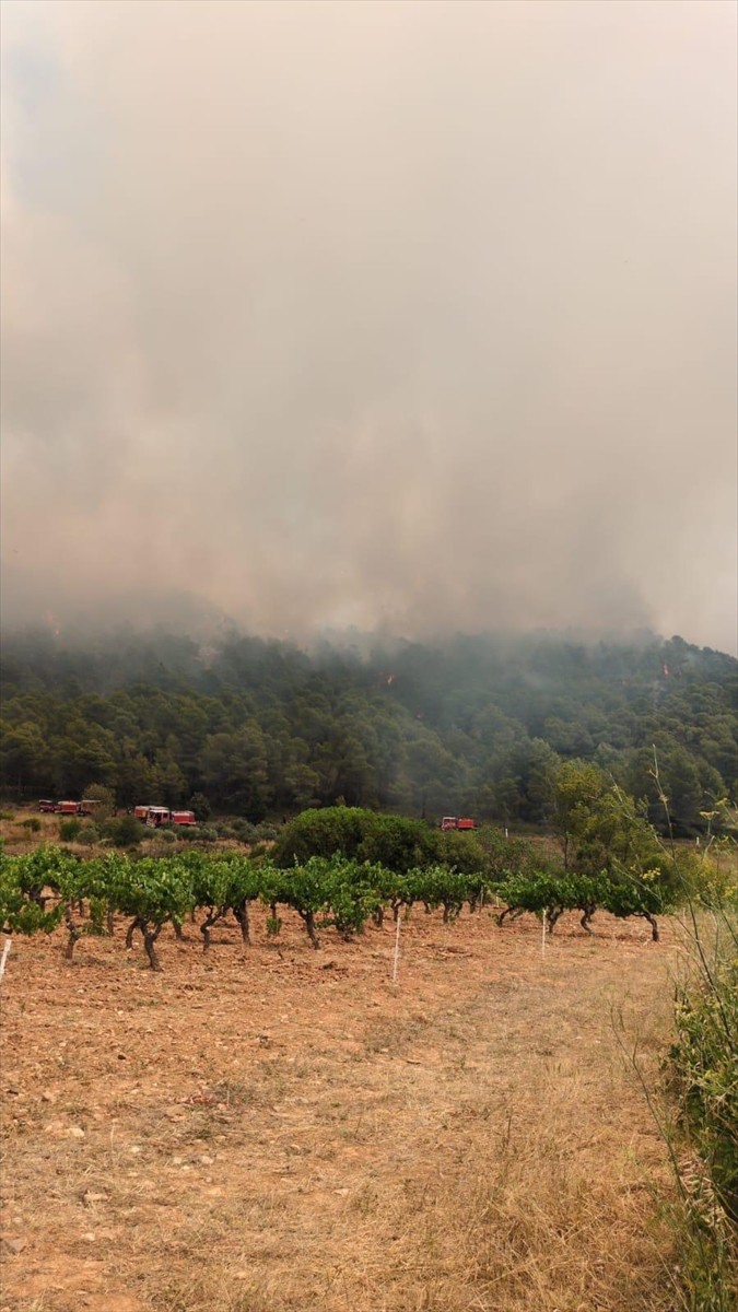 Fransa'nın güneyindeki Herault vilayetinde başlayan yangında 65 hektar ormanlık alanın kül olduğu...