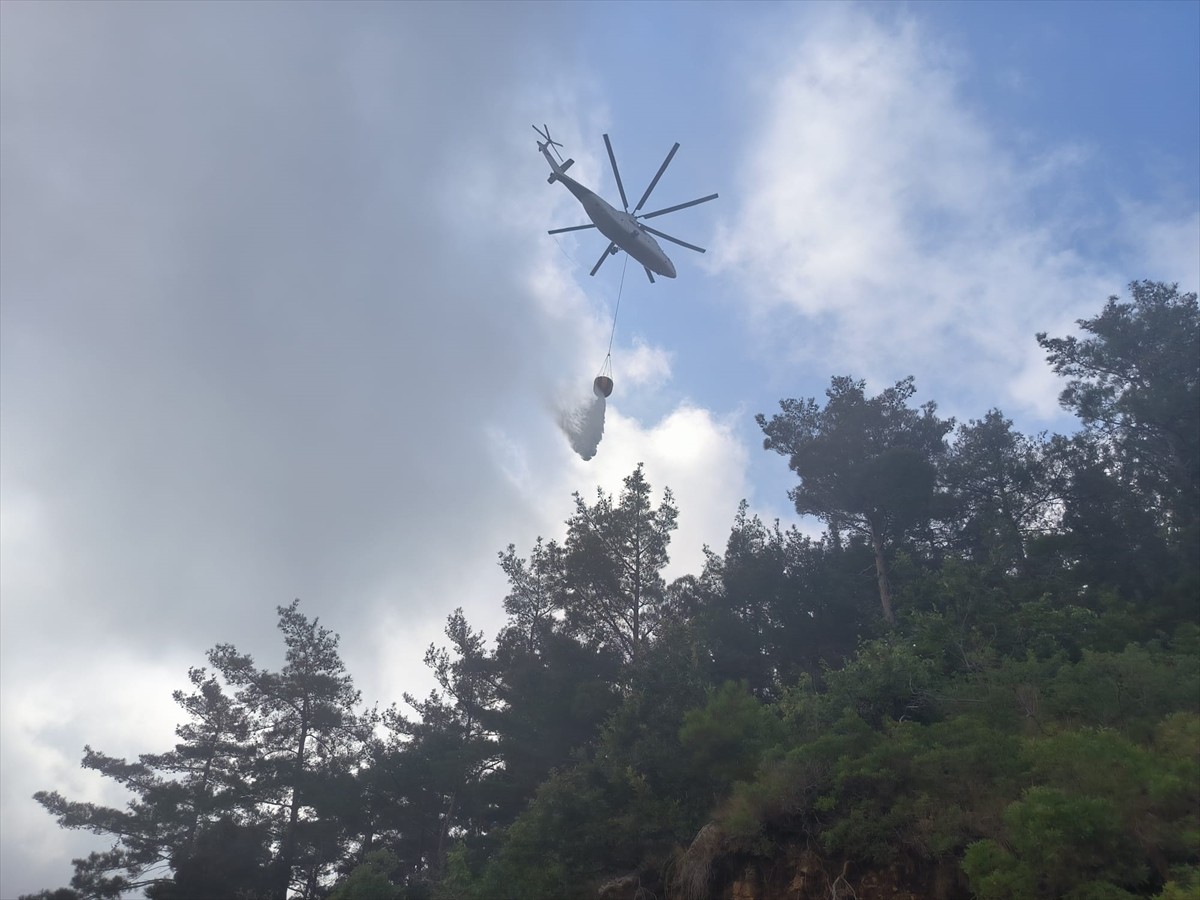 Hatay'ın Arsuz ilçesinde ormanlık alanda çıkan yangına havadan ve karadan müdahale...
