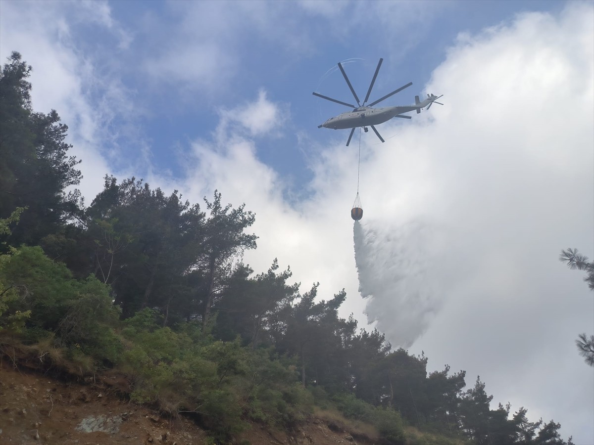 Hatay'ın Arsuz ilçesinde ormanlık alanda çıkan yangına havadan ve karadan müdahale...