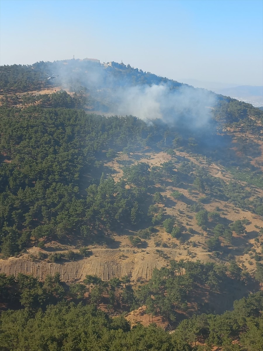 İzmir'in Karabağlar ilçesinde çıkan orman yangınına havadan ve karadan müdahale ediliyor.