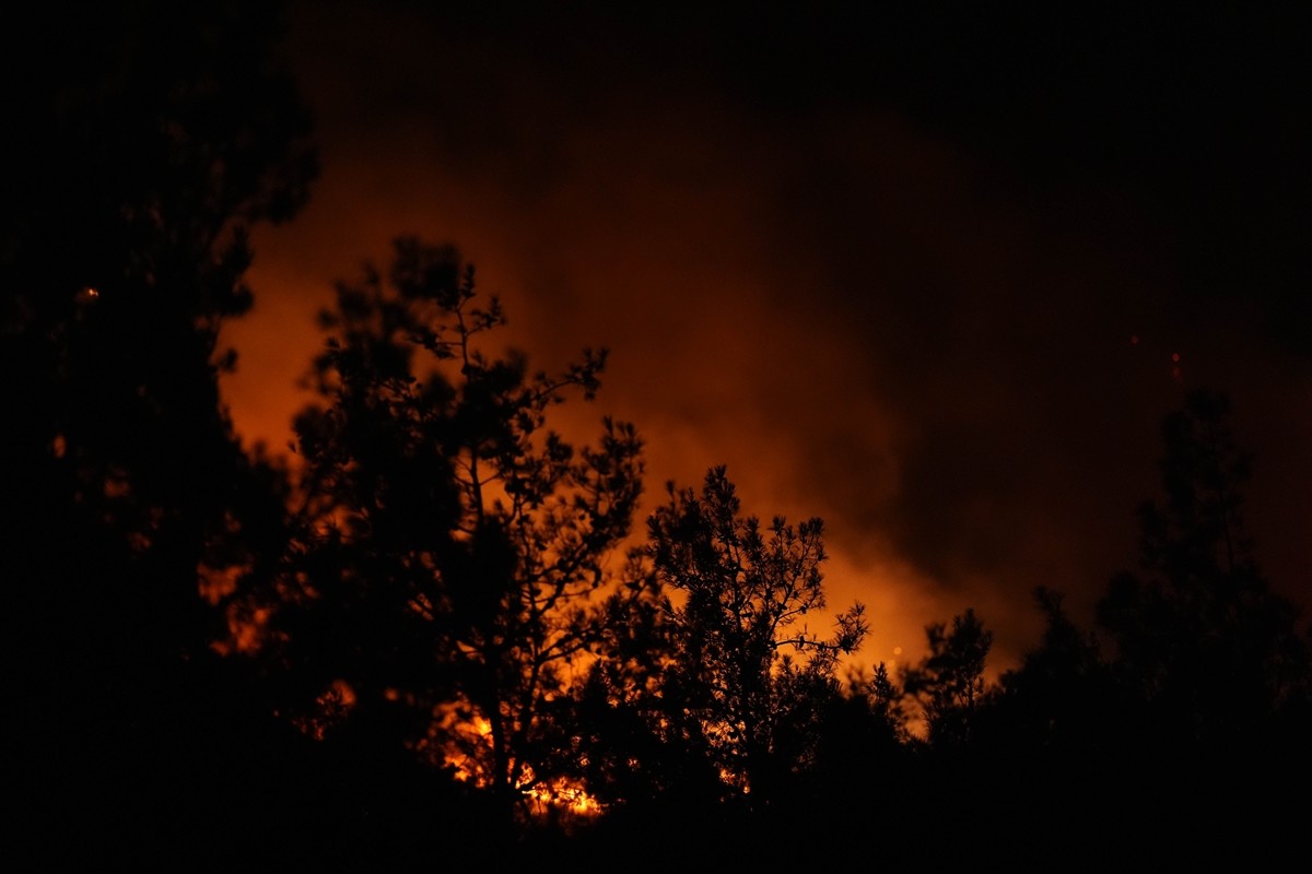 İzmir'in Urla ilçesinde çıkan orman yangınına havadan ve karadan müdahale edildi. Orman Genel...
