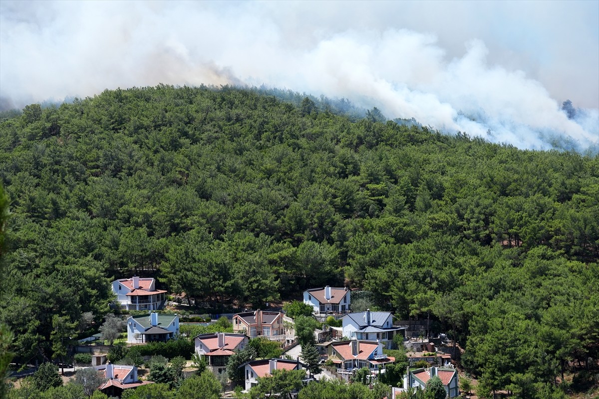 İzmir'in Urla ilçesinde çıkan orman yangınına havadan ve karadan müdahale ediliyor. 