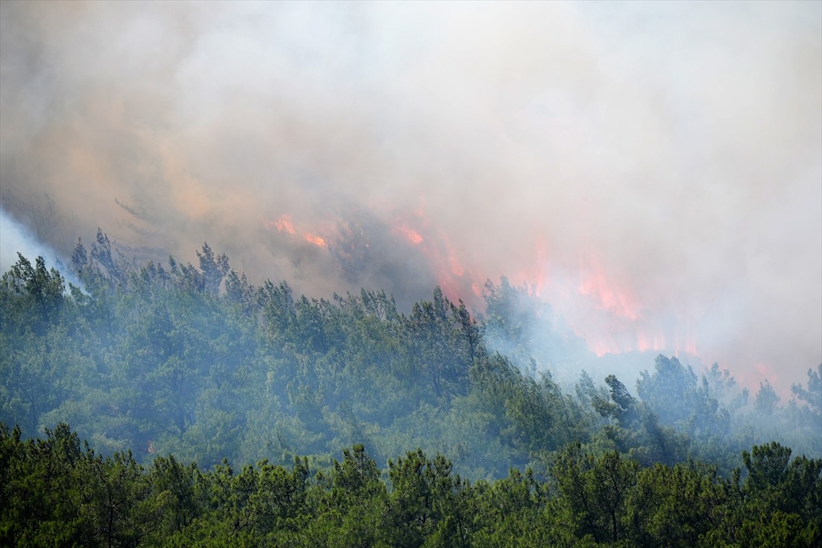 İzmir'in Urla ilçesinde çıkan orman yangınına havadan ve karadan müdahale ediliyor. 
