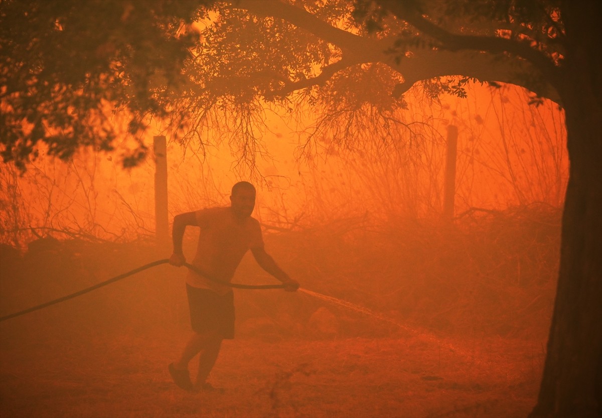 İzmir'in Urla ilçesinin Çeşmealtı Mahallesi'ndeki yerleşim yerlerine yakın ormanlık alanda, henüz...