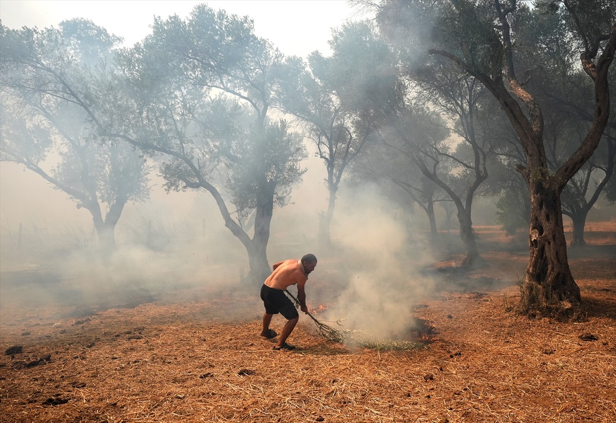 İzmir'in Urla ilçesinin Çeşmealtı Mahallesi'ndeki yerleşim yerlerine yakın ormanlık alanda, henüz...