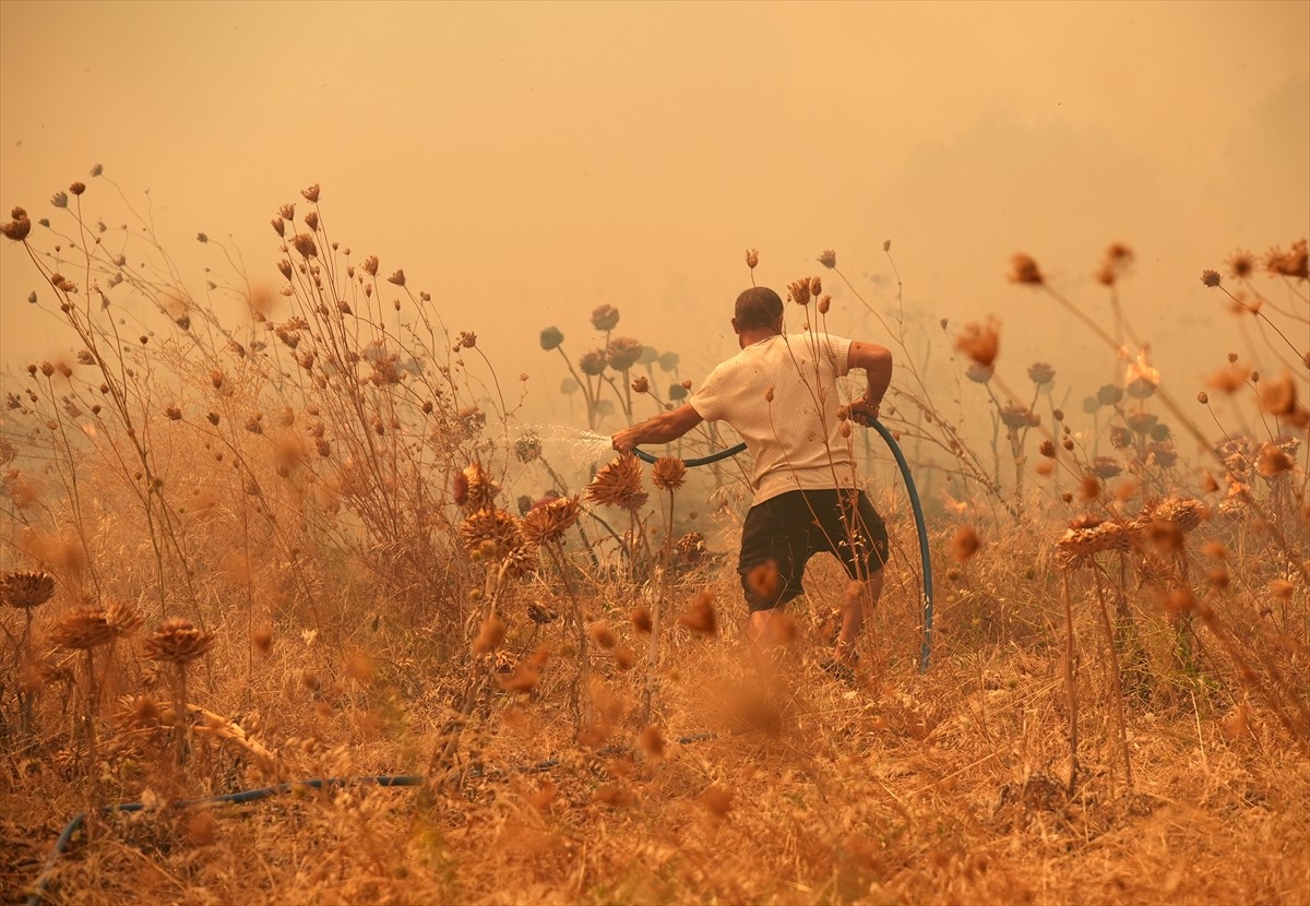 İzmir'in Urla ilçesinin Çeşmealtı Mahallesi'ndeki yerleşim yerlerine yakın ormanlık alanda, henüz...