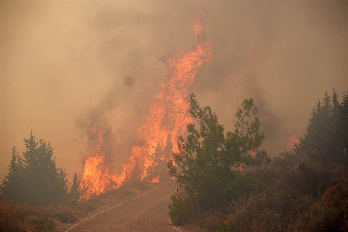 İzmir'in Urla ilçesinin Çeşmealtı Mahallesi'ndeki yerleşim yerlerine yakın ormanlık alanda, henüz...
