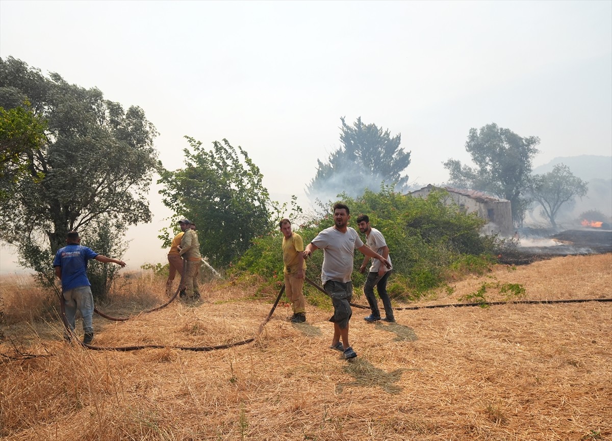 İzmir'in Urla ilçesinin Çeşmealtı Mahallesi'ndeki yerleşim yerlerine yakın ormanlık alanda, henüz...