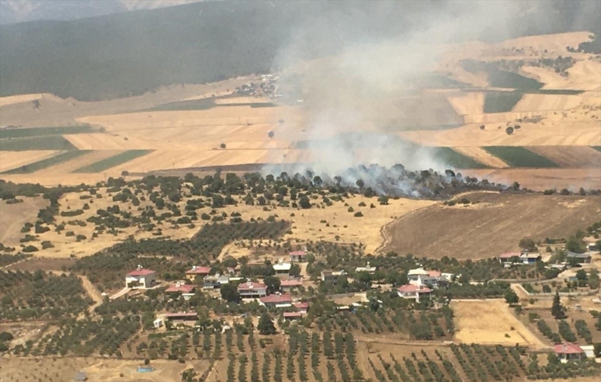 Kahramanmaraş'ın Dulkadiroğlu ilçesinde çıkan orman yangını kontrol altına alındı.