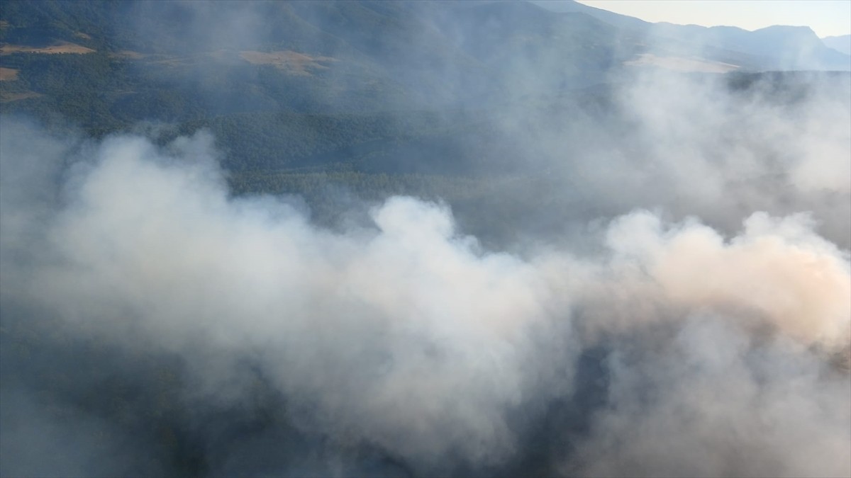 Karabük'te merkez ilçeye bağlı Kale ve Zopran köyleri mevkisindeki ormanlık alanda henüz...