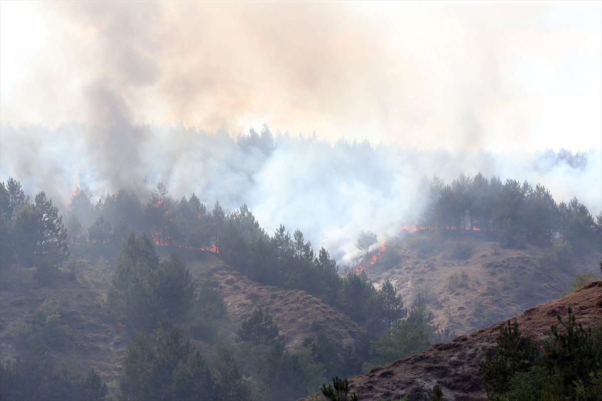 Kastamonu'da ormanlık alanda çıkan yangına ekipler karadan ve havadan müdahale etti. 