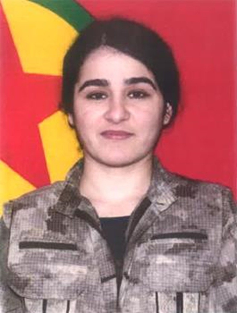 MİT, TSK'nın harekat bölgesine saldırı hazırlığında olduğu belirlenen PKK/KCK'lı teröristler...