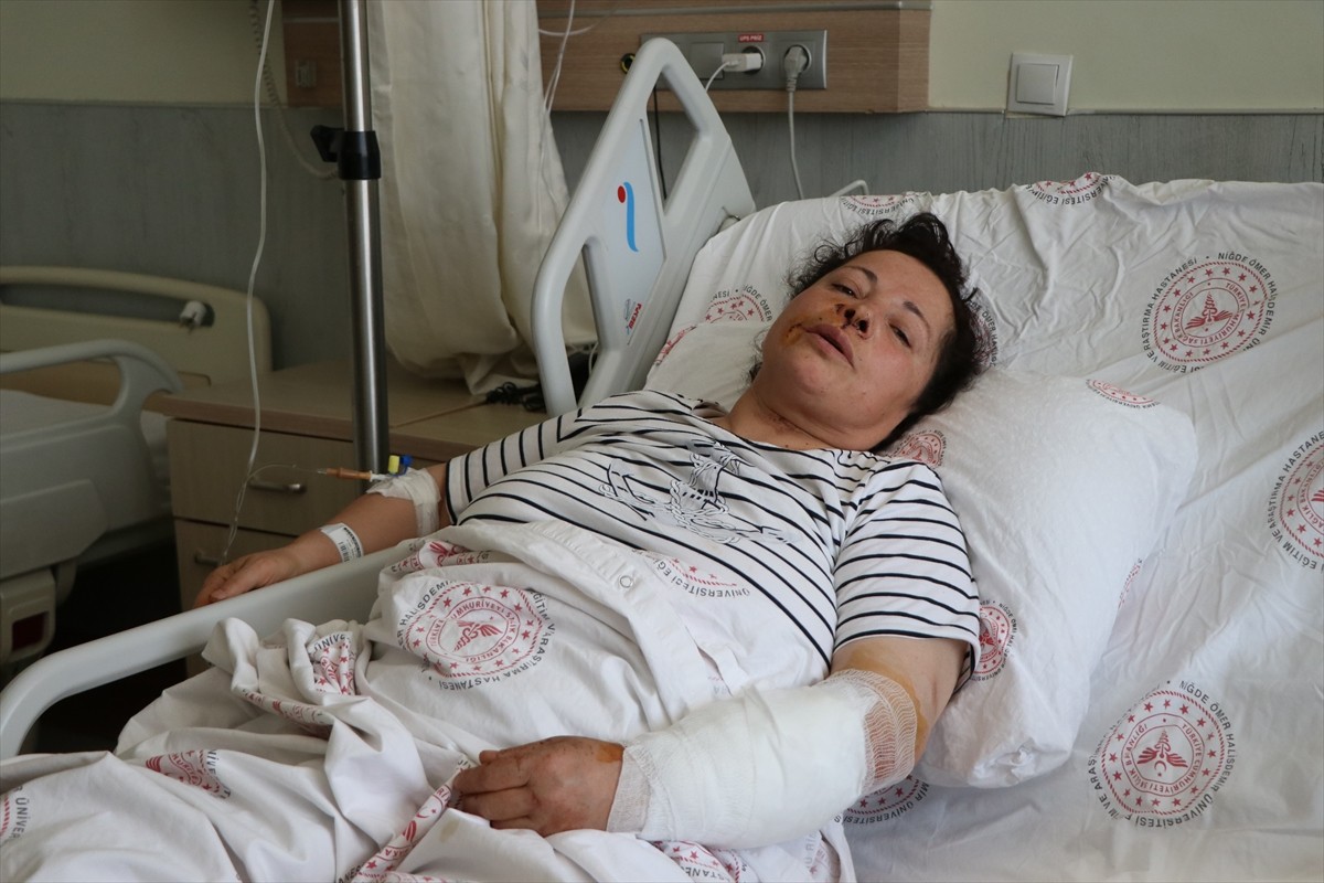 Niğde'de sahipli 2 köpeğin saldırısında yaralanan kadın, tedavi altına alındı. Altunhisar...