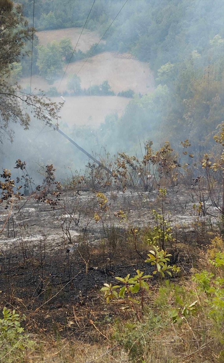 Sinop'un Dikmen ilçesinde ormanlık alanda çıkan yangın kontrol altına alındı.