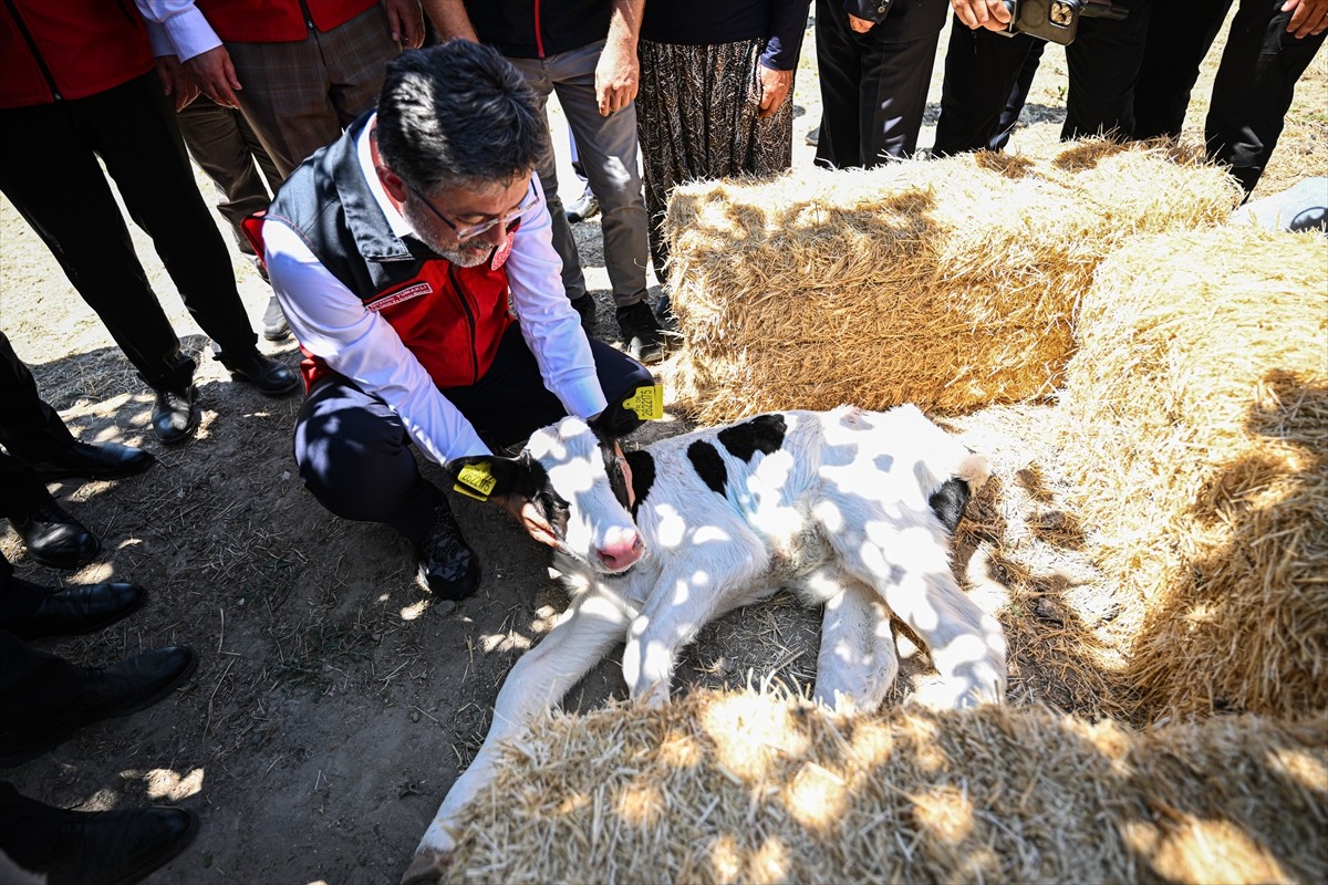 Tarım ve Orman Bakanı İbrahim Yumaklı, Ayaş'ta Bakanlığının desteklerinden yararlanan bir...