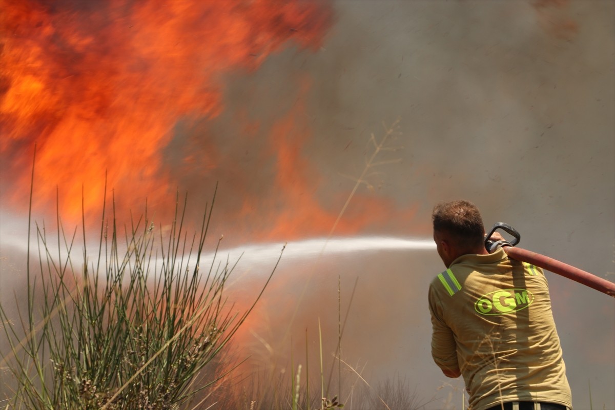 Tekirdağ'ın Şarköy ilçesinde makilik alanda çıkan yangına havadan ve karadan müdahale ediliyor....
