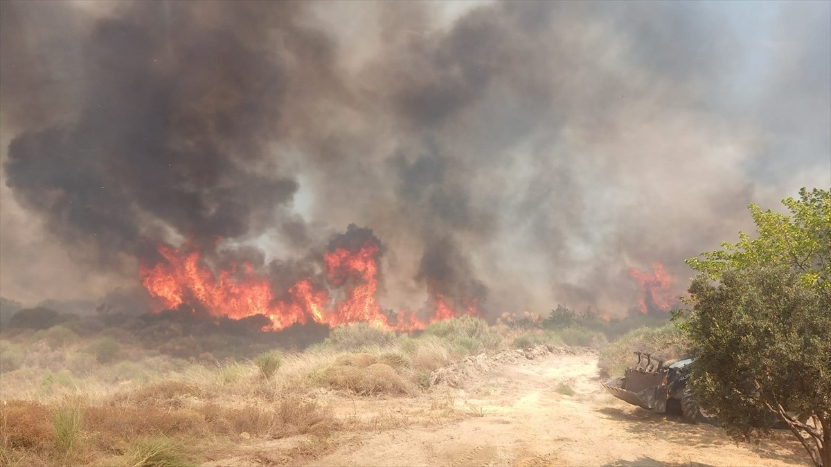  Tekirdağ'ın Şarköy ilçesinde makilik alanda çıkan yangına müdahale ediliyor.