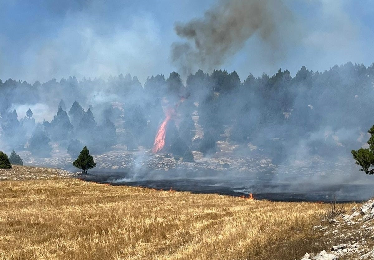 Adana'nın Kozan ilçesinde ormanlık alana sıçrayan anız yangını, ekiplerin müdahalesiyle kontrol...