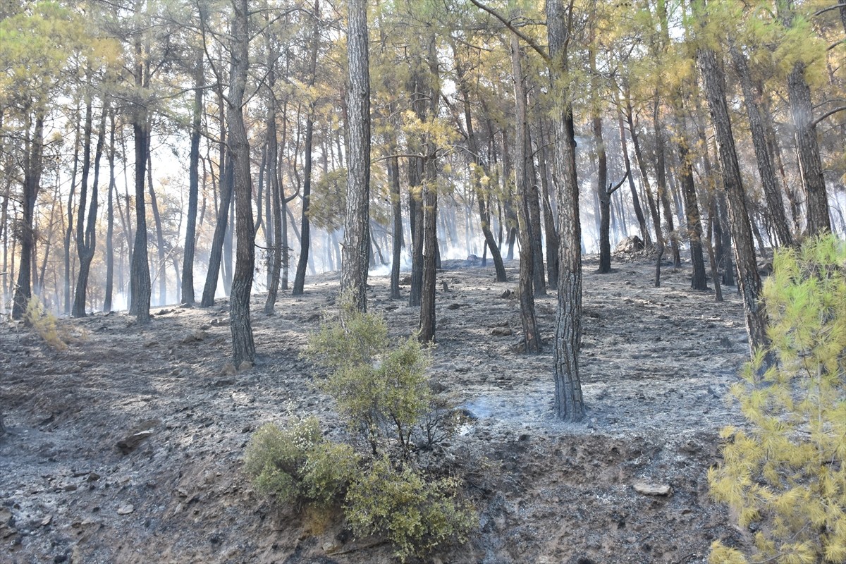 Antalya'nın Serik ilçesinde, ormanlık alanda çıkan yangın havadan ve karadan müdahaleyle kontrol...