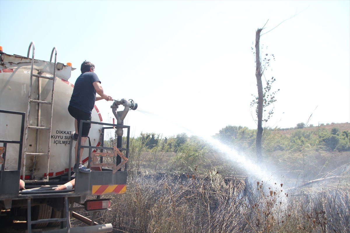 Antalya'nın Serik ilçesinde sazlık alanda başlayıp sera ile zeytin ve narenciye bahçelerine...