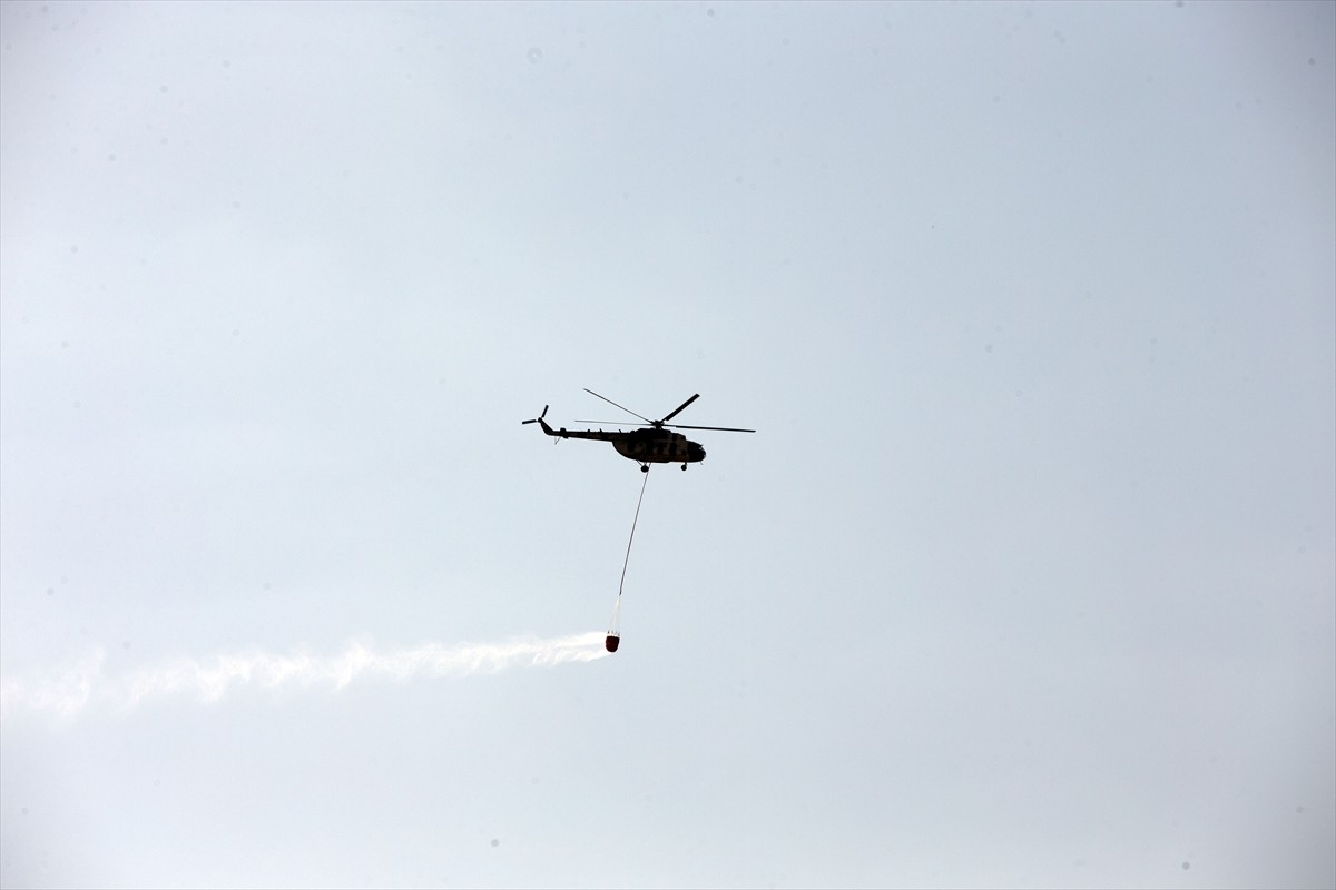 Aydın'da zeytinlik ve ormanlık alanda çıkan yangını söndürme çalışmaları devam etti. 