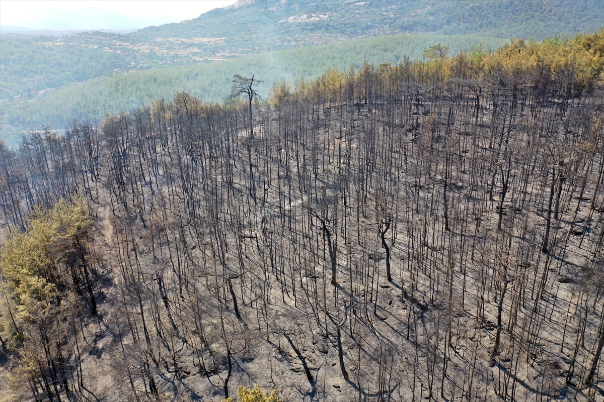 Aydın'ın Bozdoğan ilçesinde devam eden orman yangınında zarar gören yerler havadan...