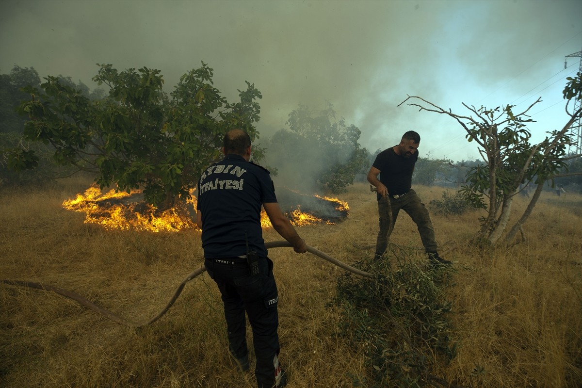 Aydın'ın Germencik ilçesinde, zeytinlik ve ormanlık alanda çıkan yangına havadan ve karadan...