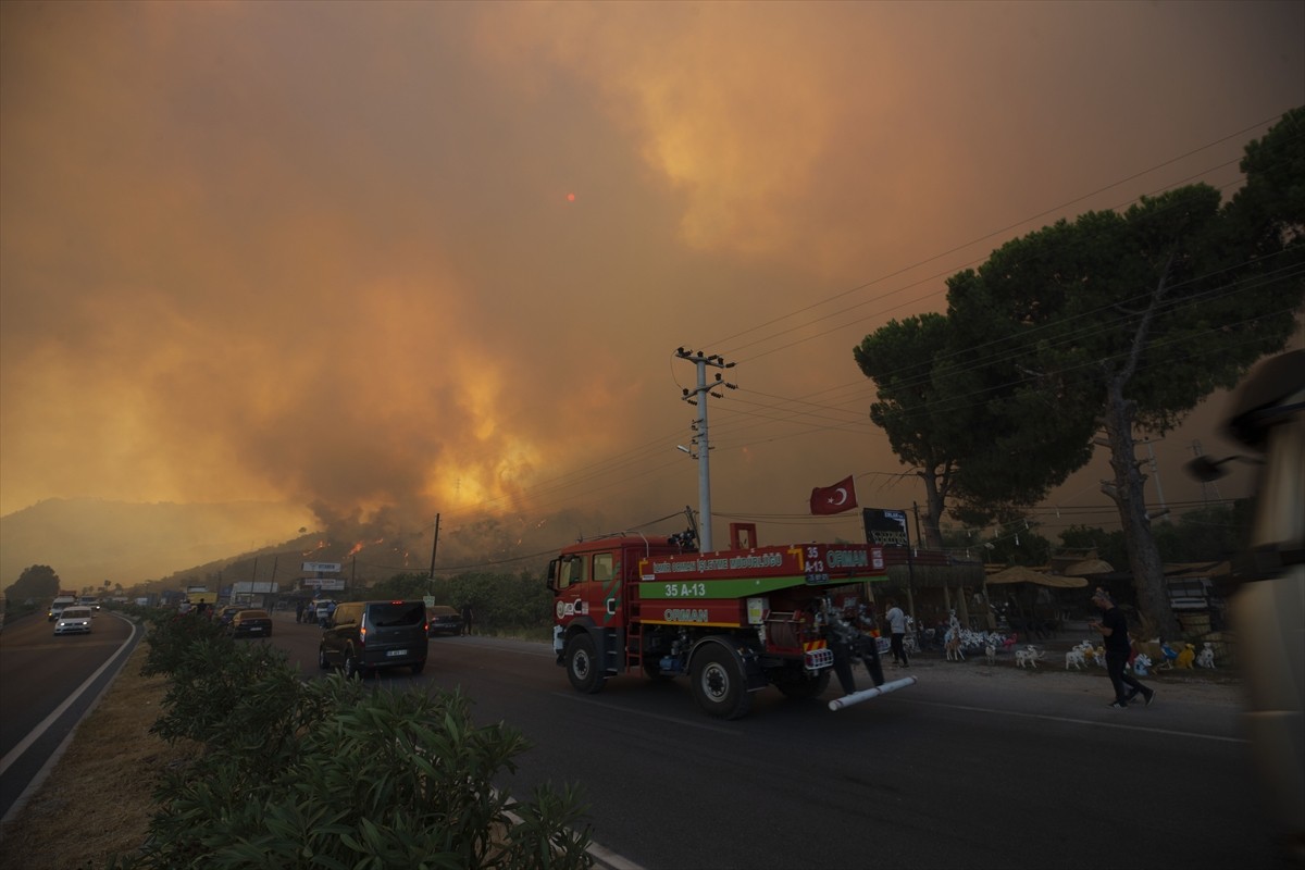 Aydın'ın Germencik ilçesinde, zeytinlik ve ormanlık alanda çıkan yangına havadan ve karadan...