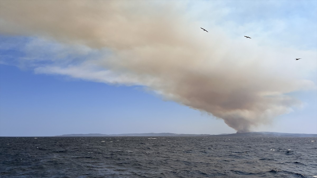 Çanakkale'nin Eceabat ilçesinde çıkan orman yangınına havadan ve karadan müdahale edildi.