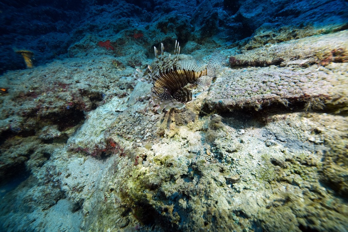  Dünyanın bilinen en eski batığı olarak nitelenen Kumluca Orta Tunç Çağı Batığı'nda arkeologların...
